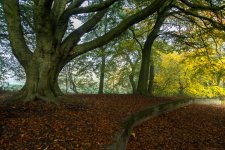 DSC_0775.jpg