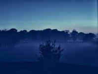Fog.jpg