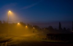 DSC_6423-Edit.jpg