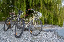 DSC_6722.jpg