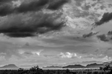 DSC_0456.jpg