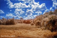 11-01-15 Green Cay IR    20.jpg