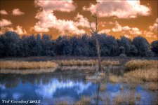 11-01-15 Green Cay IR    25.jpg