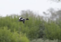 DSC_5493.jpg