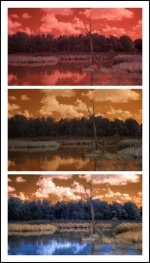 Raw to Finished IR  2015.jpg