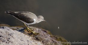 DSC_2210.jpg