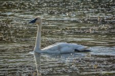 IVA_8950-Edit-Edit_HDR.jpg