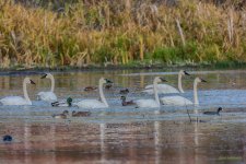 IVA_9016-Edit-Edit_HDR.jpg
