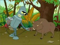 bender.jpg