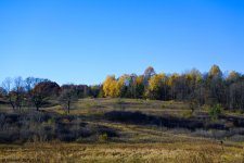 _DSC0328.jpg