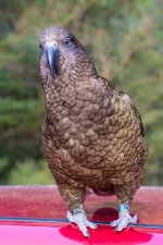 DSC_6857.jpg