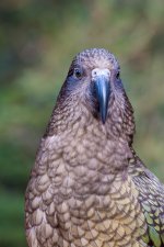 DSC_6863.jpg