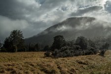 DSC_7105.jpg