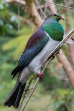 DSC_7059.jpg