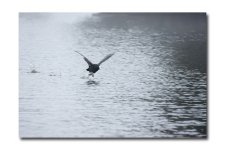 DSC_0102.jpg