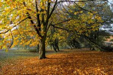 DSC_0839-Edit.jpg