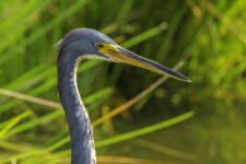 IVA_7731-Edit.jpg