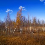DSCF6910.jpg