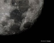D71_7399.jpg
