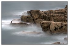 _DSC7067.jpg