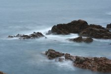 _DSC7082.jpg