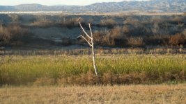 7th Nov 2015 coolpix 043.JPG