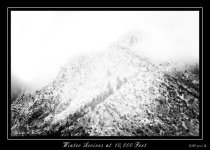 W_DSC_8341.jpg