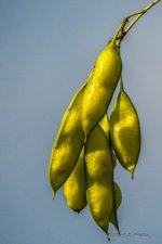D71_7377-Edit-Edit.jpg