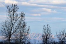 mtn-cloud-b4.jpg