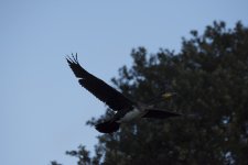 DSC_03991.jpg