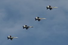 _DSC6788.jpg