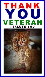 Saluting Cat.jpg