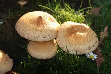 2015 - 30393_resize.jpg