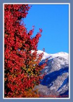Autumn in Utah 2015.jpg
