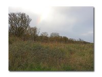 DSCN4035.jpg