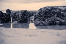 _DSC2456.jpg