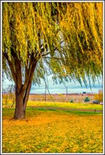 _6003509 copy.jpg