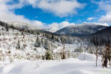 IVA_9080-Edit.jpg