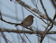 _DSC3612167.jpg