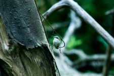 _DSC2788.jpg