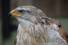DSC_0657.jpg