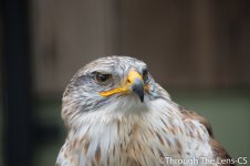 DSC_0658.jpg