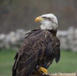 DSC_0681.jpg