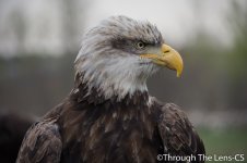 DSC_0690.jpg