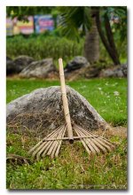 rake.jpg