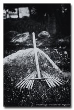 rake-bw.jpg