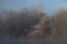 DSC_1442.jpg