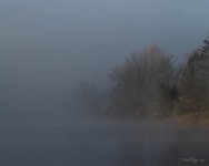 DSC_1451.jpg
