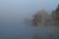 DSC_1443.jpg