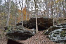DSC_0031.jpg DSC_0031.jpg